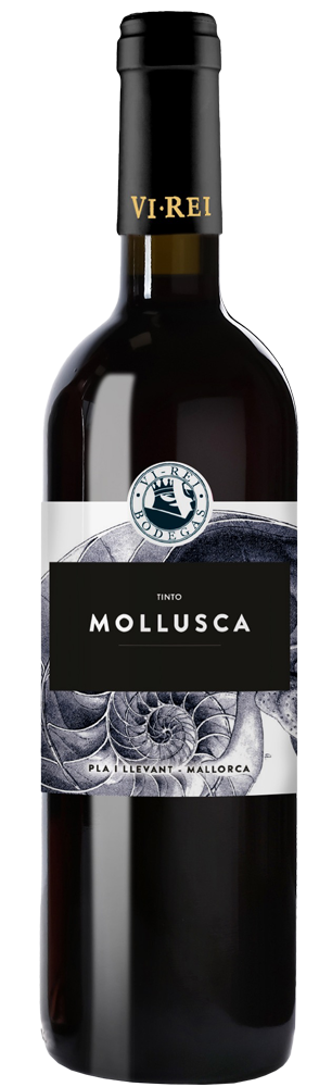 MALLORCA_MOLLUSCA_RED