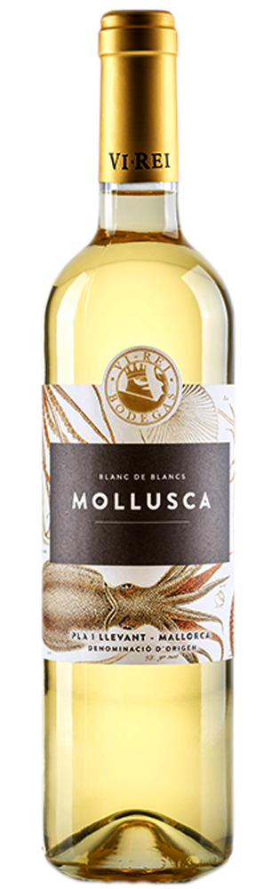 MALLORCA_MOLLUSCA_WHITE
